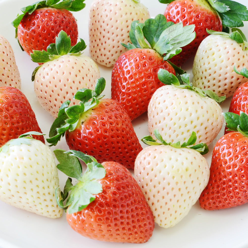 甜甜的除了爱情，还有草莓~